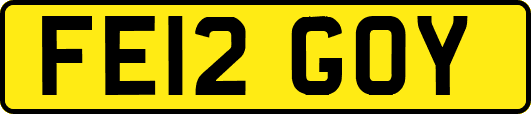 FE12GOY