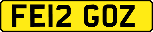 FE12GOZ