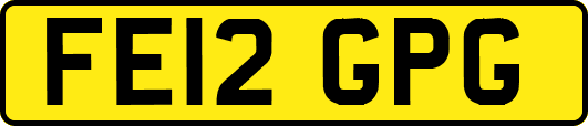 FE12GPG