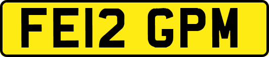 FE12GPM