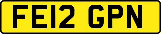FE12GPN