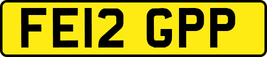 FE12GPP