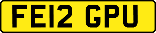 FE12GPU