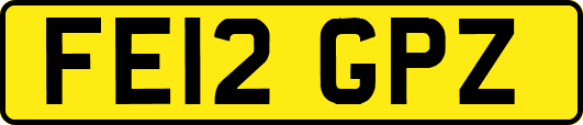 FE12GPZ
