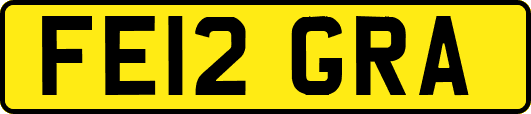 FE12GRA