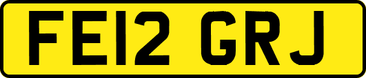 FE12GRJ