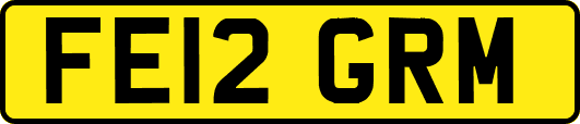 FE12GRM