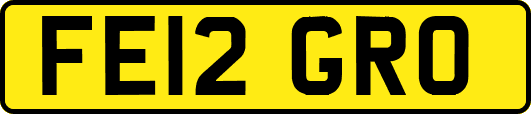 FE12GRO