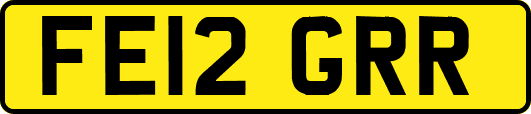 FE12GRR