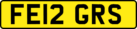 FE12GRS