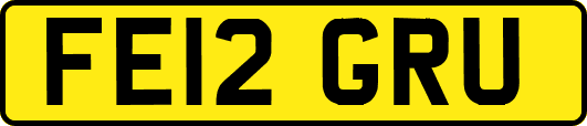 FE12GRU