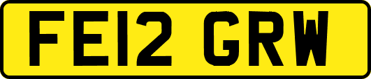 FE12GRW