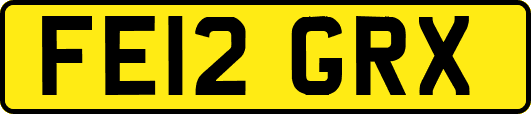 FE12GRX