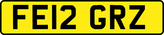FE12GRZ