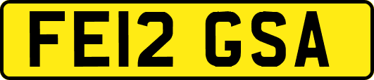 FE12GSA