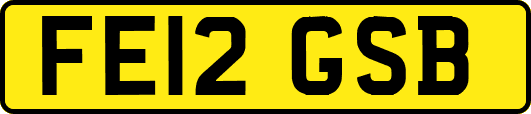 FE12GSB