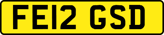 FE12GSD