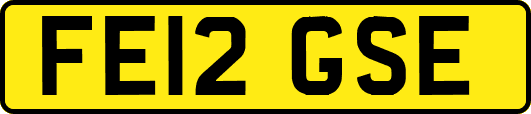 FE12GSE