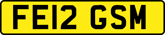 FE12GSM