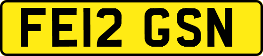 FE12GSN