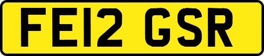 FE12GSR