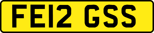 FE12GSS