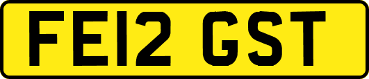 FE12GST