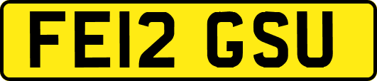 FE12GSU