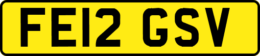FE12GSV
