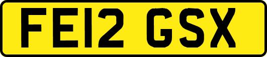FE12GSX