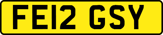 FE12GSY