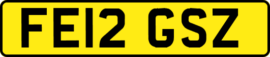 FE12GSZ