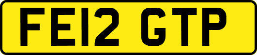 FE12GTP