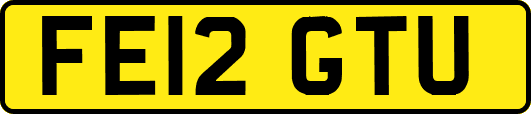 FE12GTU
