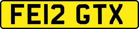 FE12GTX