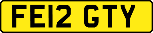 FE12GTY