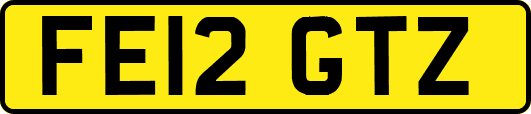 FE12GTZ