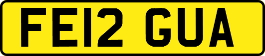 FE12GUA
