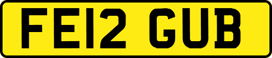 FE12GUB