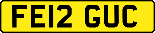 FE12GUC