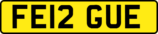 FE12GUE