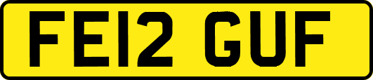 FE12GUF