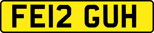 FE12GUH
