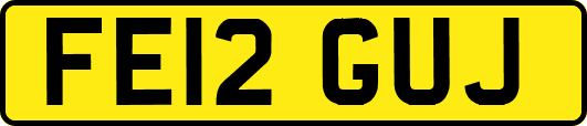 FE12GUJ
