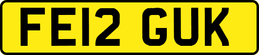 FE12GUK