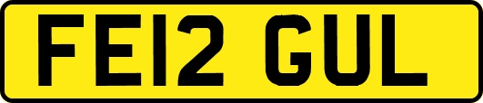 FE12GUL