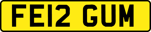 FE12GUM