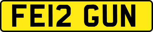 FE12GUN