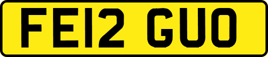 FE12GUO