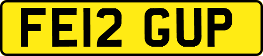 FE12GUP